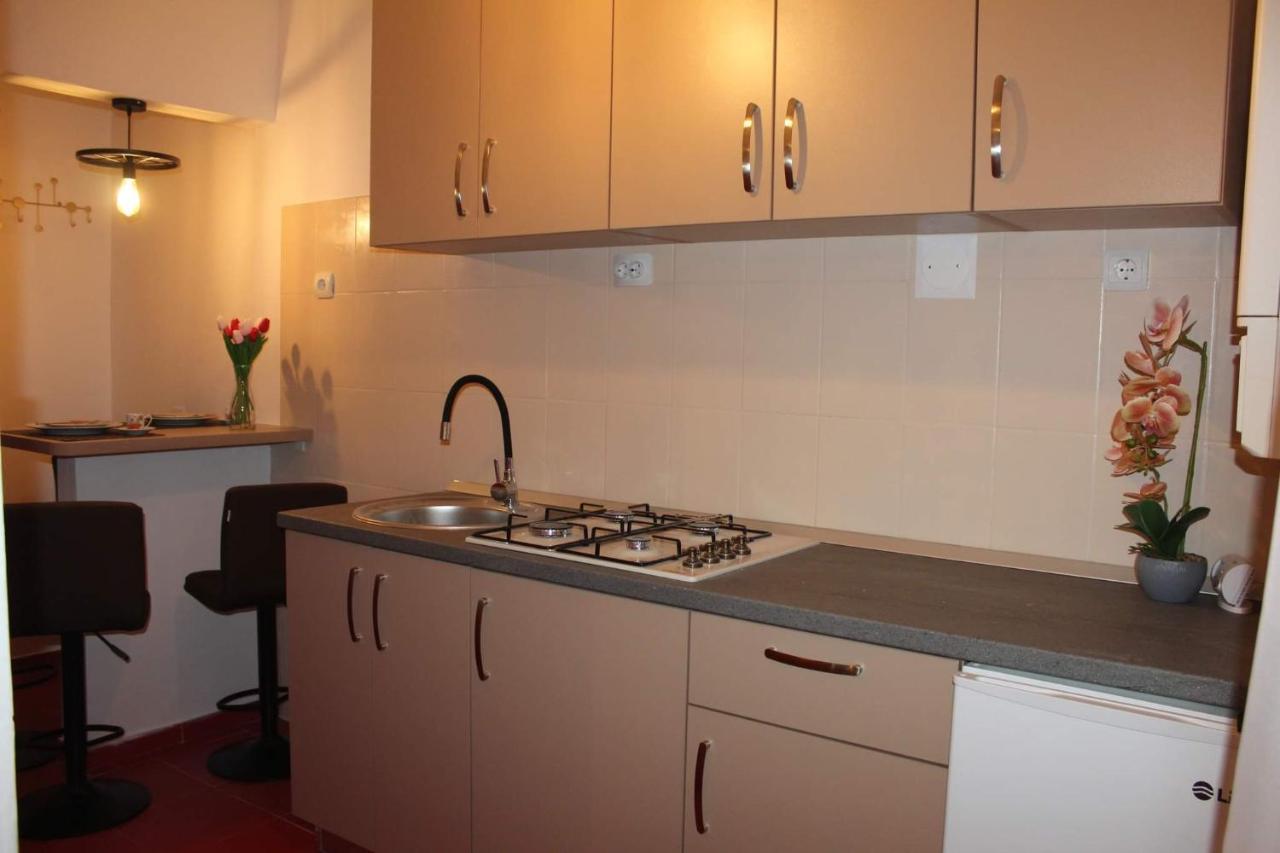 Apartament Dania & Petru Διαμέρισμα Tîrgu Ocna Εξωτερικό φωτογραφία
