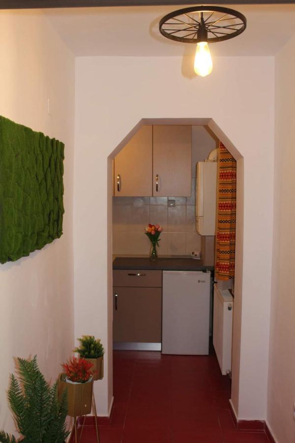 Apartament Dania & Petru Διαμέρισμα Tîrgu Ocna Εξωτερικό φωτογραφία