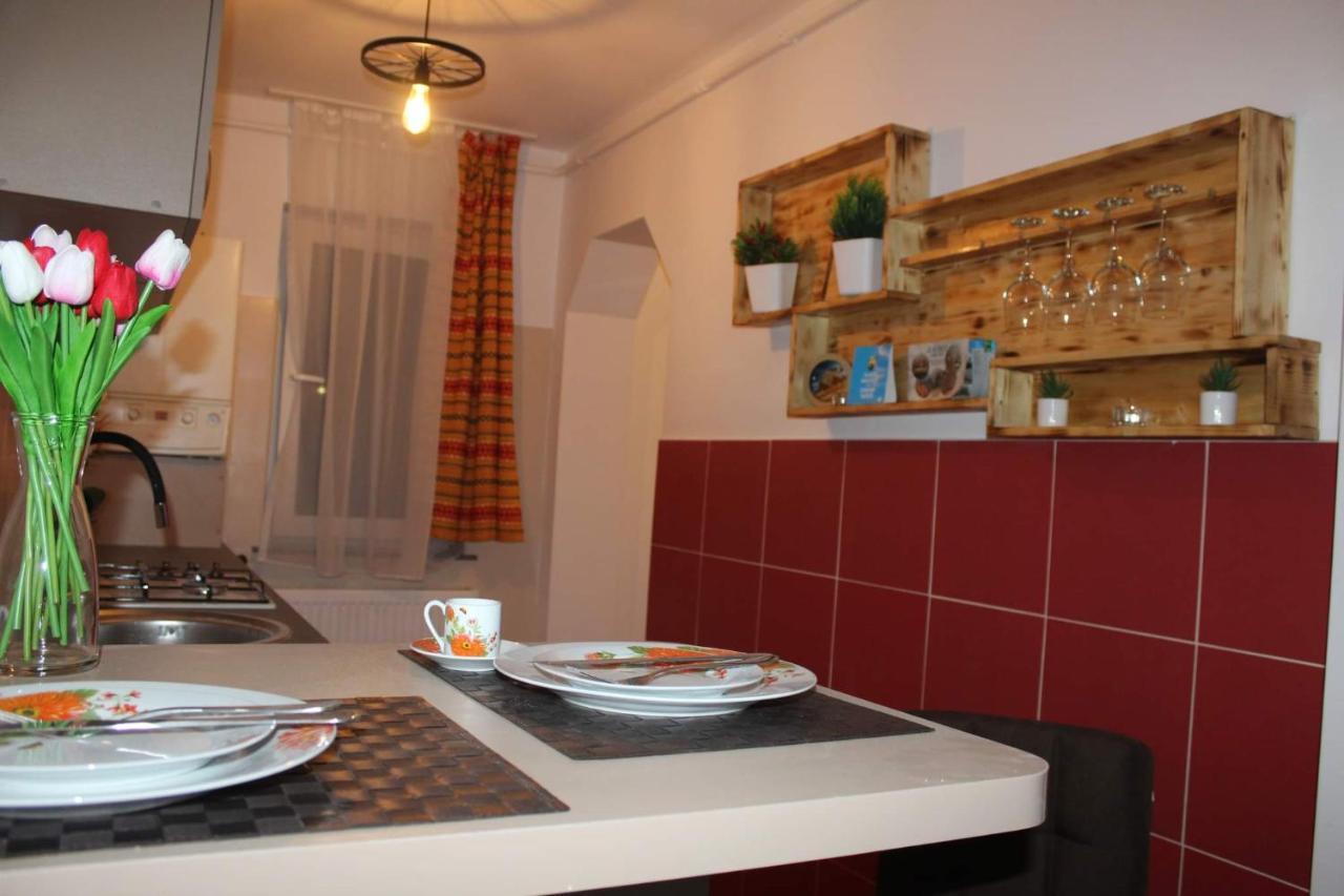 Apartament Dania & Petru Διαμέρισμα Tîrgu Ocna Εξωτερικό φωτογραφία