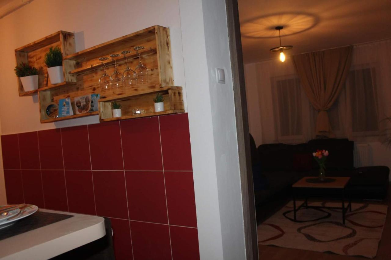 Apartament Dania & Petru Διαμέρισμα Tîrgu Ocna Εξωτερικό φωτογραφία
