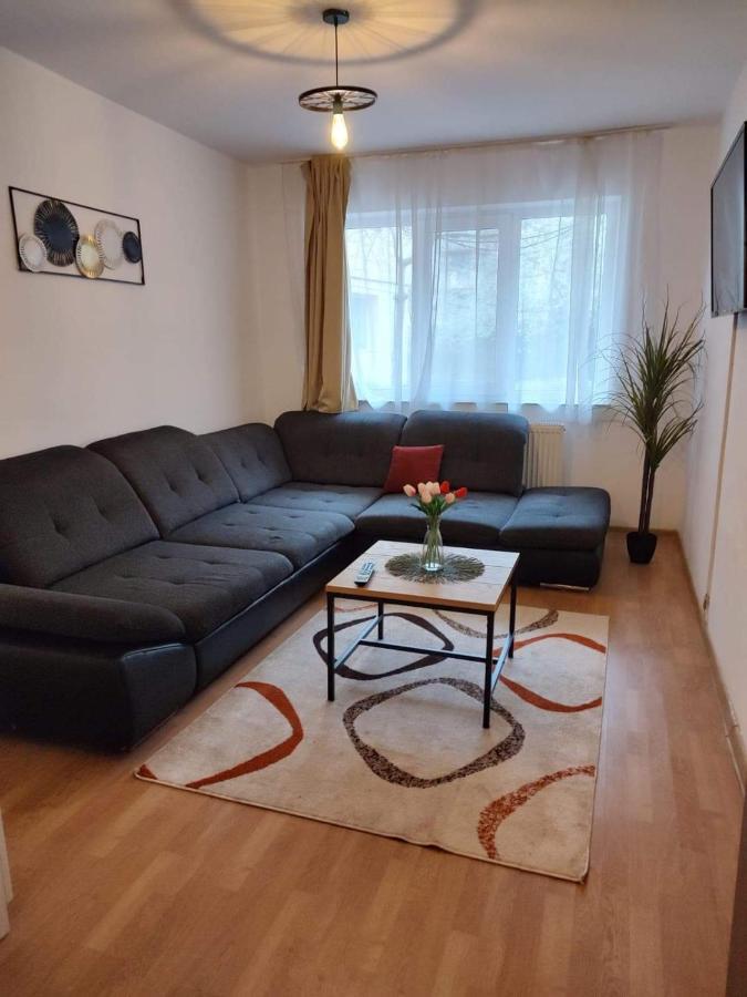 Apartament Dania & Petru Διαμέρισμα Tîrgu Ocna Εξωτερικό φωτογραφία